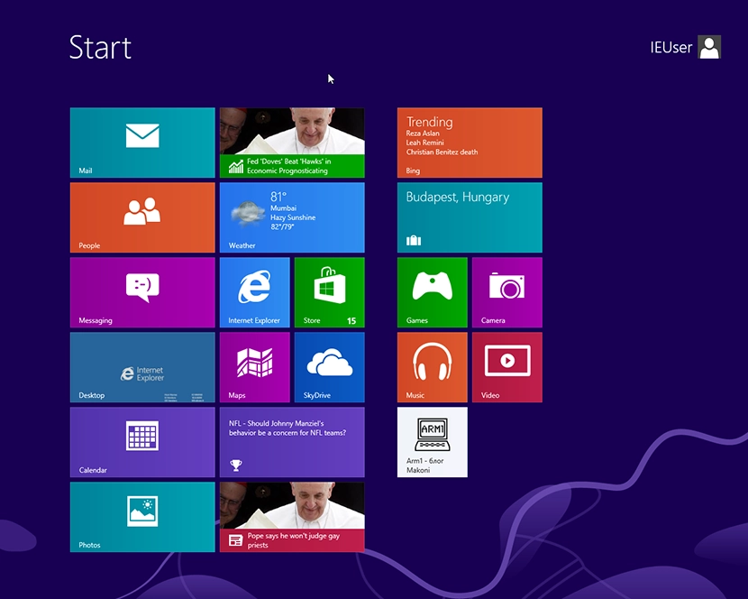 Windows 8 Pinned Site